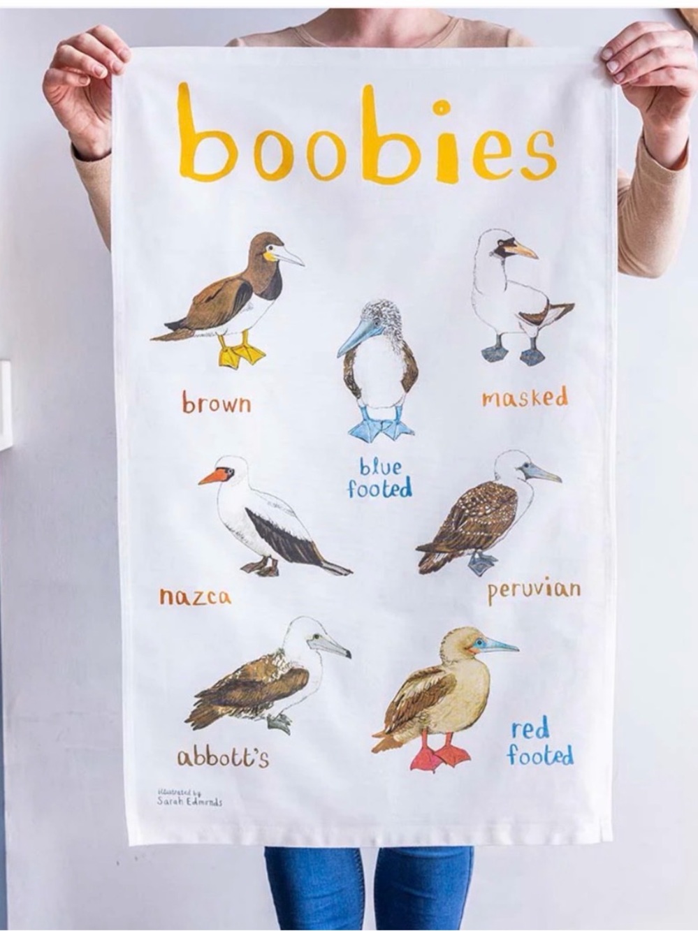 Boobies Bird Tea Towel — White with Multicolor Illustrations